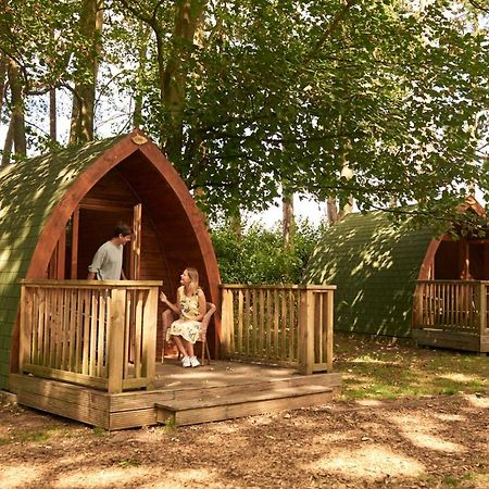 Pinewood - At Port Lympne Reserve Hythe  Exterior photo